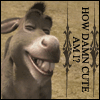 Avatar-animado-Animal-615.gif