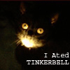 Avatar-animado-Animal-617.gif