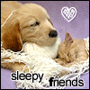 Avatar-animado-Animal-621.gif