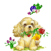 Avatar-animado-Animal-622.gif