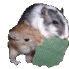 Avatar-animado-Animal-645.gif