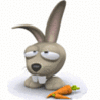 Avatar-animado-Animal-650.gif