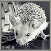 Avatar-animado-Animal-657.gif