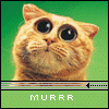 Avatar-animado-Animal-658.gif
