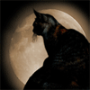 Avatar-animado-Animal-659.gif