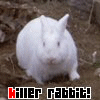 Avatar-animado-Animal-660.gif