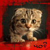 Avatar-animado-Animal-661.gif