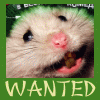 Avatar-animado-Animal-667.gif
