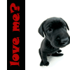 Avatar-animado-Animal-67.gif
