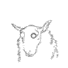 Avatar-animado-Animal-672.gif