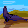 Avatar-animado-Animal-674.gif