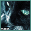 Avatar-animado-Animal-675.gif