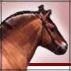 Avatar-animado-Animal-694.gif