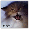 Avatar-animado-Animal-713.gif
