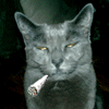 Avatar-animado-Animal-714.gif