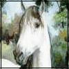 Avatar-animado-Animal-729.gif