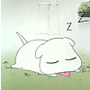 Avatar-animado-Animal-731.gif