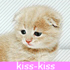 Avatar-animado-Animal-734.gif