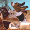 Avatar-animado-Animal-740.gif