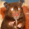 Avatar-animado-Animal-758.gif