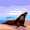 Avatar-animado-Animal-771.gif