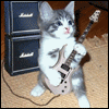 Avatar-animado-Animal-773.gif