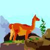 Avatar-animado-Animal-80.gif