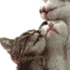 Avatar-animado-Animal-803.gif