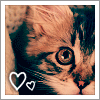 Avatar-animado-Animal-805.gif