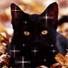 Avatar-animado-Animal-807.gif