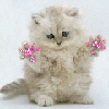 Avatar-animado-Animal-810.gif