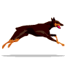 Avatar-animado-Animal-816.gif