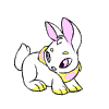 Avatar-animado-Animal-820.gif