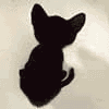 Avatar-animado-Animal-833.gif