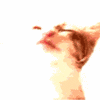 Avatar-animado-Animal-834.gif