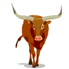 Avatar-animado-Animal-848.gif