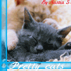 Avatar-animado-Animal-849.gif