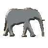 Avatar-animado-Animal-859.gif