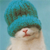 Avatar-animado-Animal-879.gif