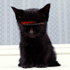Avatar-animado-Animal-880.gif