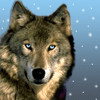 Avatar-animado-Animal-884.gif