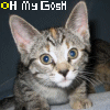 Avatar-animado-Animal-891.gif