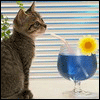 Avatar-animado-Animal-897.gif
