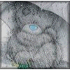 Avatar-animado-Animal-898.gif