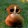 Avatar-animado-Animal-934.gif