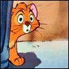 Avatar-animado-Animal-958.gif