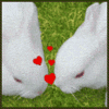 Avatar-animado-Animal-962.gif
