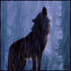 Avatar-animado-Animal-974.gif
