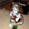 Avatar-animado-Animal-975.gif