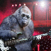 Avatar-animado-Animal-979.gif